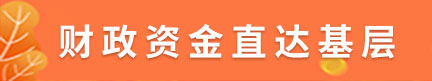 財政資金直達(dá)基層