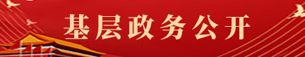 基層政務(wù)公開