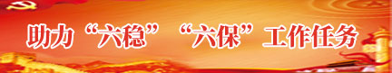 助力“六穩(wěn)”“六保”工作任務(wù)